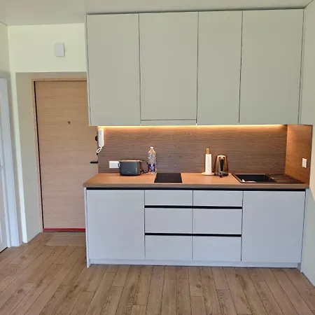Nt Zitkus Apartamentai Apartment Palanga